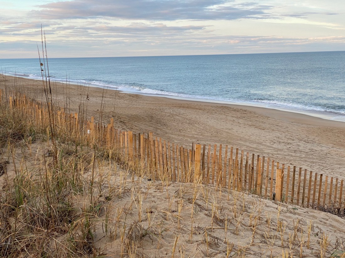 beachateastdogwoodjan4