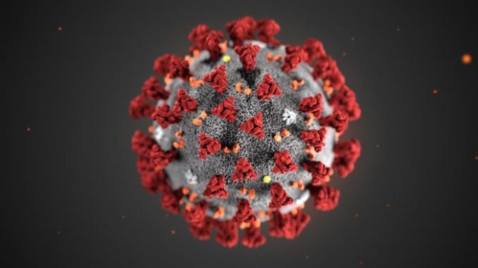 Coronavirus-CDC-678x381